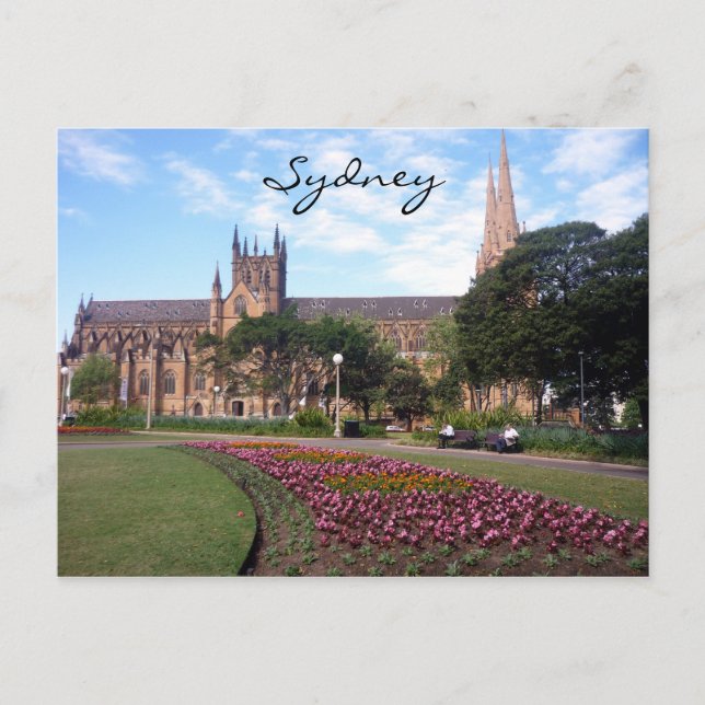 Carte Postale fleurs de st mary (Devant)