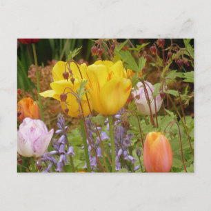 Carte Postale Fleurs De Tendance