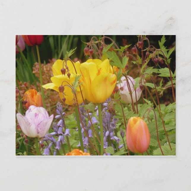 Carte Postale Fleurs De Tendances (Devant)