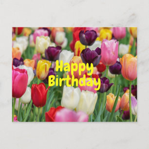Carte Postale Fleurs de tulipes de couleur mixte Joyeux Annivers