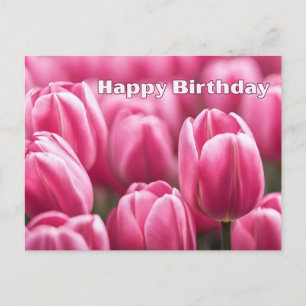 Carte Postale Fleurs de tulipes roses vibrantes pour un Joyeux A
