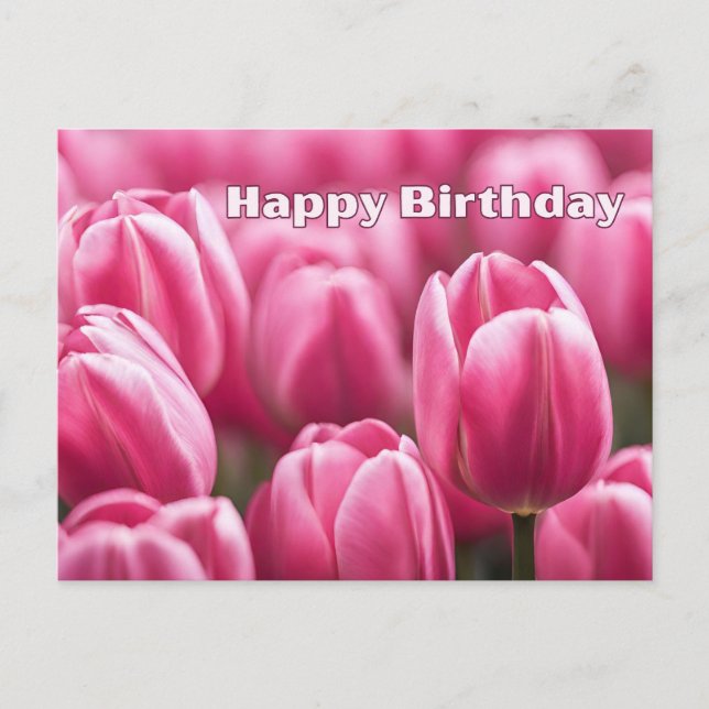 Carte Postale Fleurs de tulipes roses vibrantes pour un joyeux a (Devant)