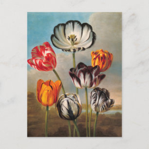Carte Postale Fleurs de tulipes variées vintage dans un paysage