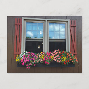 Carte Postale Fleurs d'été