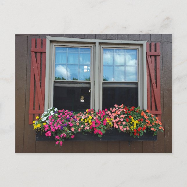 Carte Postale Fleurs d'été (Devant)