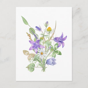 Carte Postale Fleurs d'été à l'aquarelle