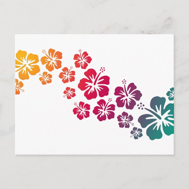 Carte Postale fleurs d'hibiscus colorées (Devant)