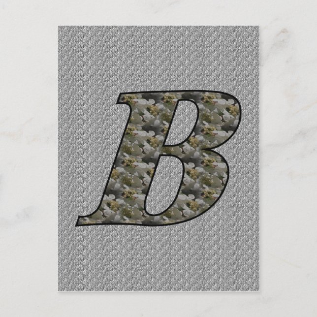 Carte Postale Fleurs d'hydrangea à initiale de monogramme B (Devant)