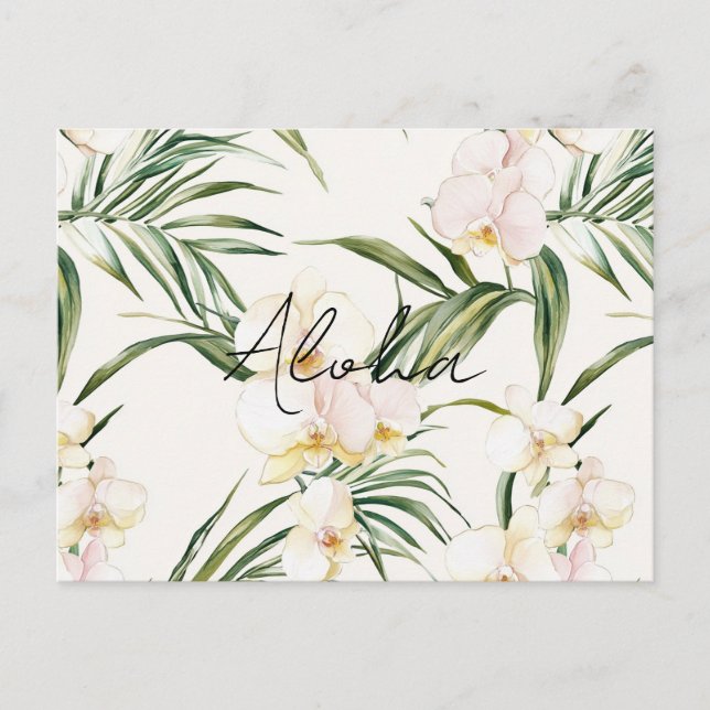 Carte Postale Fleurs d'orchidées crémeuses Aloha (Devant)
