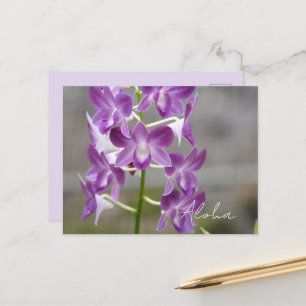 Carte Postale Fleurs d'orchidées roses tropicales Kauai