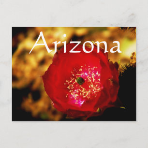 carte postale fleurs du désert, Arizona