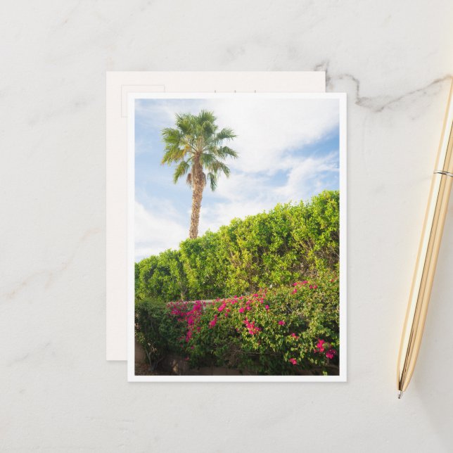 Carte Postale Fleurs du désert de Palm Springs & Palmier (Devant/Arrière en situation)