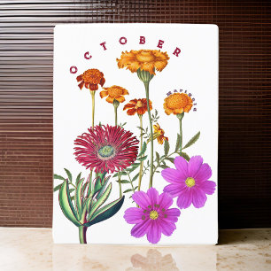 Carte Postale Fleurs du mois d'octobre Souci & Cosmos  