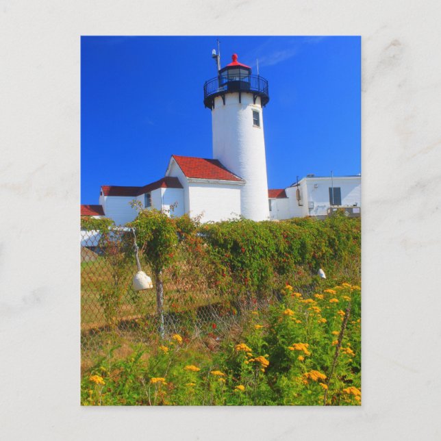 Carte Postale Fleurs du phare de Eastern Point Gloucester (Devant)
