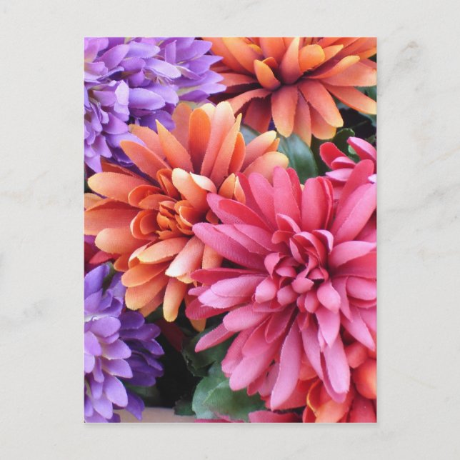 Carte Postale Fleurs éclatantes (Devant)