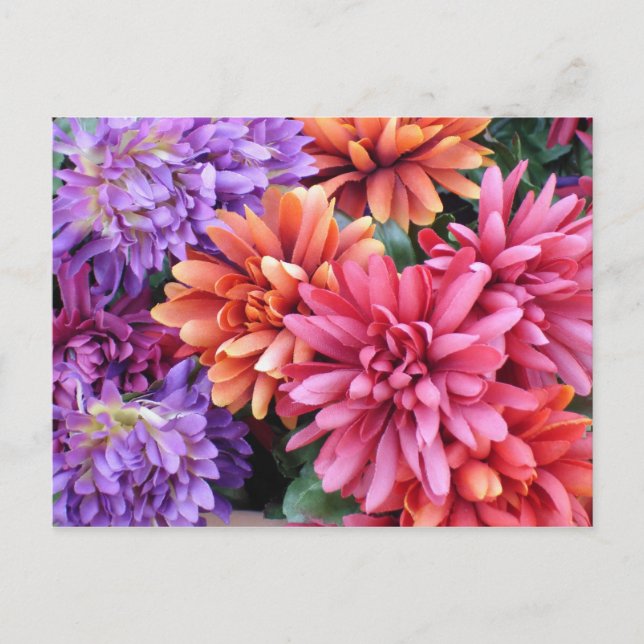 Carte Postale Fleurs éclatantes (Devant)