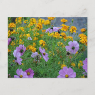 Carte Postale Fleurs Élégantes Mariage Bain de Paix Amour Destin