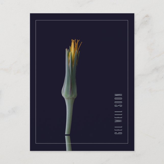 Carte Postale Fleurs Élégantes Simples Personnalisées pour un Ré (Devant)