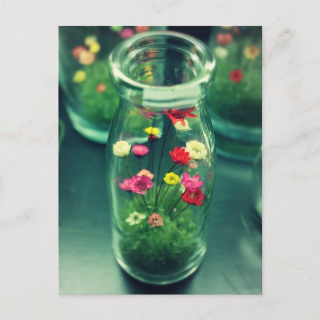 Carte Postale Fleurs en bouteille (Devant)