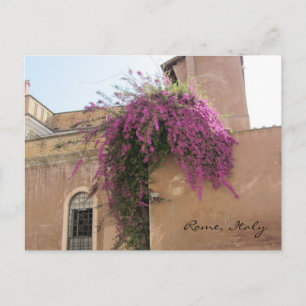 Carte Postale Fleurs en cascade sur un vieux bâtiment
