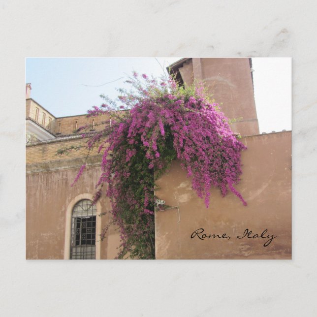 Carte Postale Fleurs en cascade sur un vieux bâtiment (Devant)
