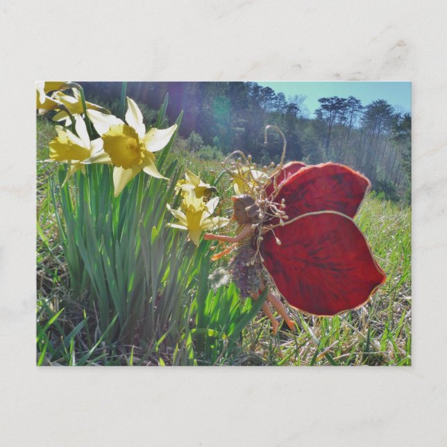Carte Postale Fleurs et fleurs jaunes (Devant)