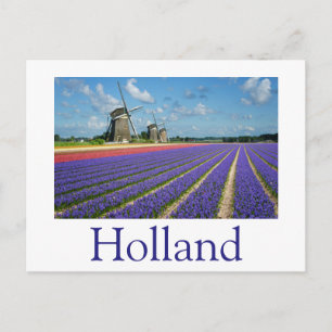 Carte Postale Fleurs et moulins à vent en Hollande