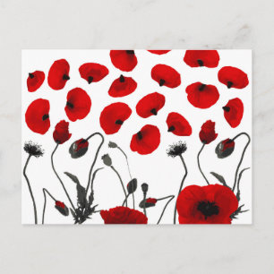 Carte Postale Fleurs et pétales noirs et rouges modernes