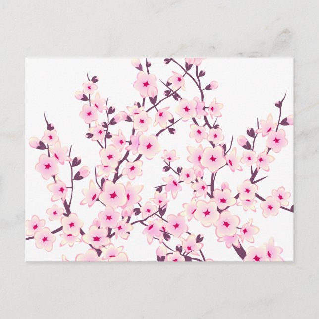 Carte Postale Fleurs florales de cerises (Sakura) (Devant)