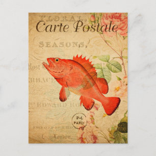 Carte Postale Fleurs florales de poissons de Red Rock vintage Fr