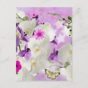 Carte Postale fleurs florales vignes orchidées fleurs plantes