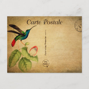 Carte Postale Fleurs florales vintages d'oiseaux