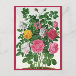 Carte Postale Fleurs florissantes vintages, Roses du jardin de p