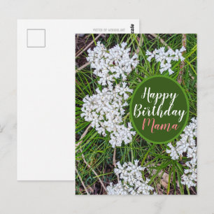 Carte Postale Fleurs fraîches vertes et blanches Joyeux Annivers