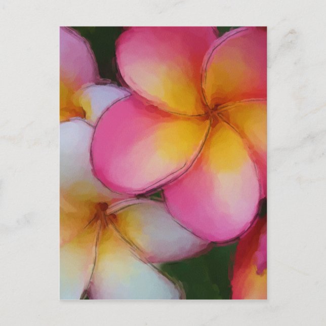 Carte Postale Fleurs Frangipani Plumeria roses (Devant)