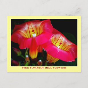 Carte Postale Fleurs Hawaïennes roses