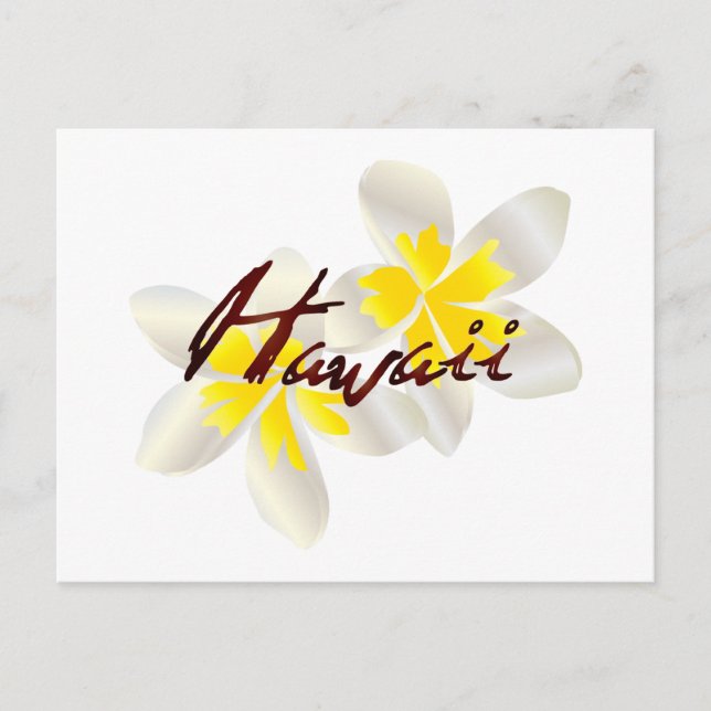 Carte Postale Fleurs Hawaii Plumeria (Devant)