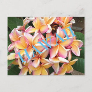 Carte Postale Fleurs Hawaii pour tous