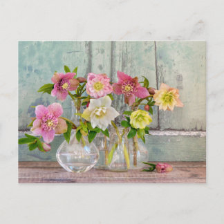 Carte Postale Fleurs | Hellebores dans des vases