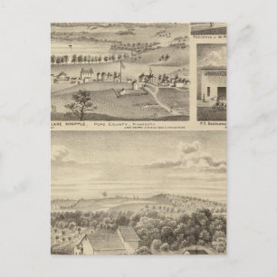 Carte Postale Fleurs, Isenours Glenwood, Minnesota