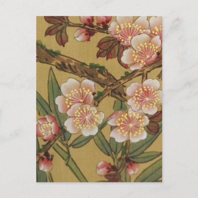 Carte Postale Fleurs Japonaises Asiatiques Fleurs de Cerisier Vi (Devant)