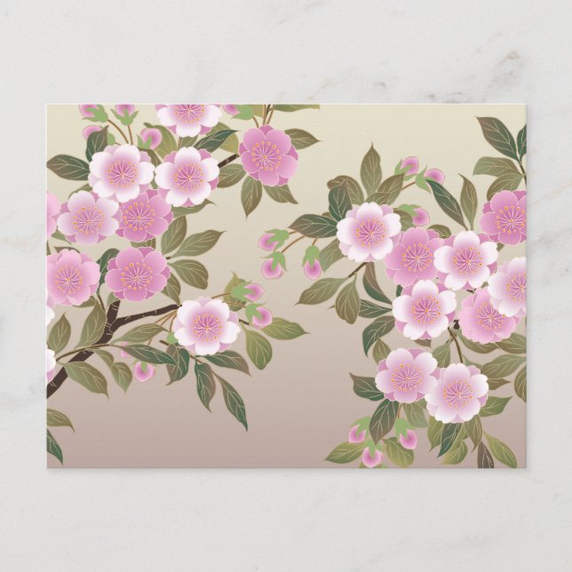 Carte Postale Fleurs japonaises de cerises (Devant)