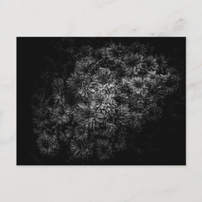 Carte Postale Fleurs jardins En Noir Et Blanc No 29 (Devant)