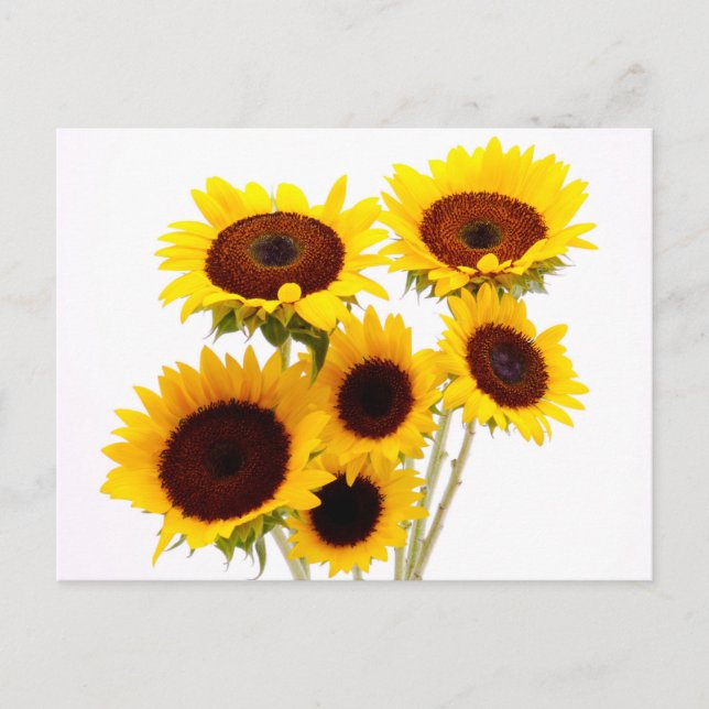 Carte Postale Fleurs Jaunes Foral Tournesols - Amour, Miss You (Devant)