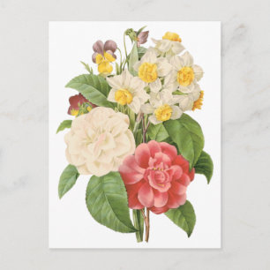 Carte Postale Fleurs jonquilles de Camelia vintage Florale par R