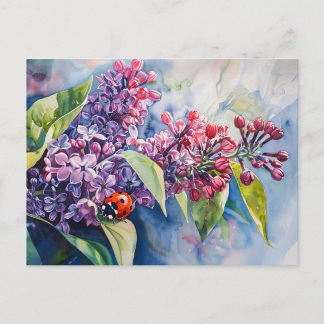 Carte Postale Fleurs Lilac Violet Vibrant Ladybug (Devant)