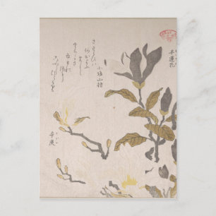 Carte Postale Fleurs Magnolia - Kubo Shunman (japonais)