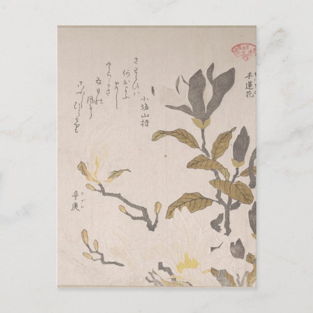 Carte Postale Fleurs Magnolia - Kubo Shunman (japonais) (Devant)
