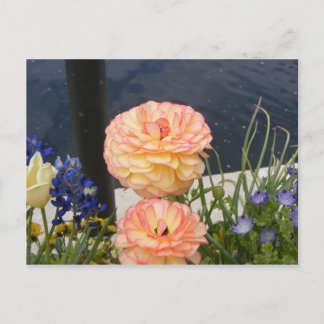 CARTE POSTALE FLEURS MOYENNES