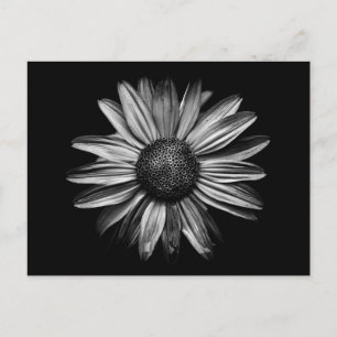 Carte Postale Fleurs Noires Et Blanches 18